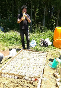 写真:被災地陸前高田