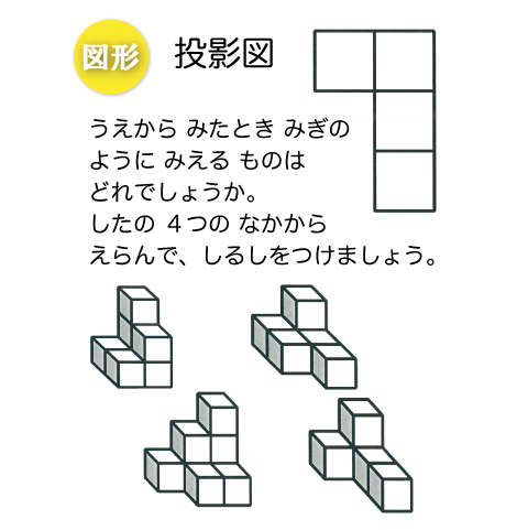 20級 平面感覚