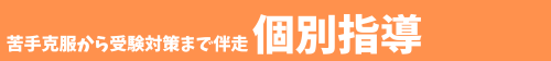 苦手克服から受験対策まで! 対象学年:小1~高3