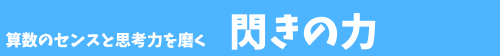 算数のセンスと思考力を磨く 閃きの力 対象:小1~高3